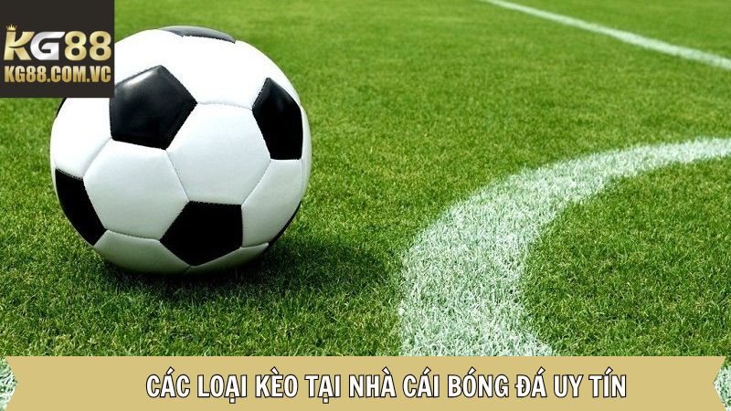 Nhà Cái Bóng Đá Là Gì? Kèo Cá Độ Tại Sân Chơi K8GG Uy Tín 4 Các loại kèo hot tại nhà cái cá cược bóng đá