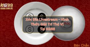 Xóc Đĩa Livestream - Hình Thức Giải Trí Thú Vị Tại KG88